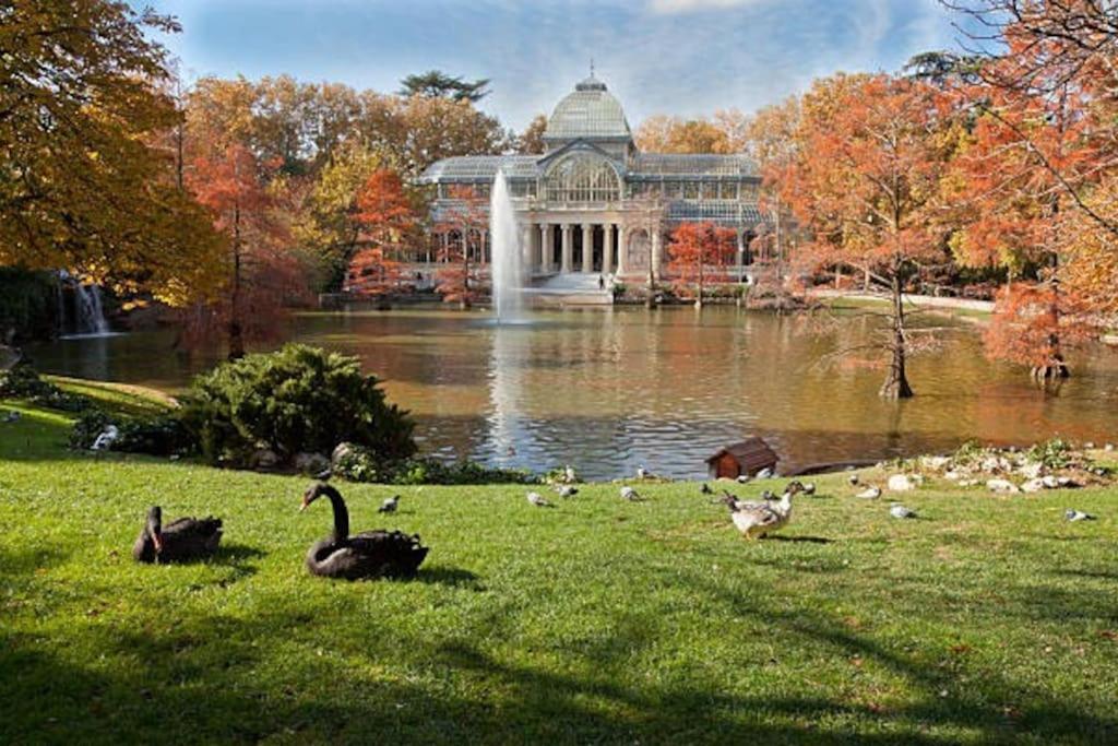 ºmy Citycentre Sol Wifi Ac Smarttvº Madrid Dış mekan fotoğraf